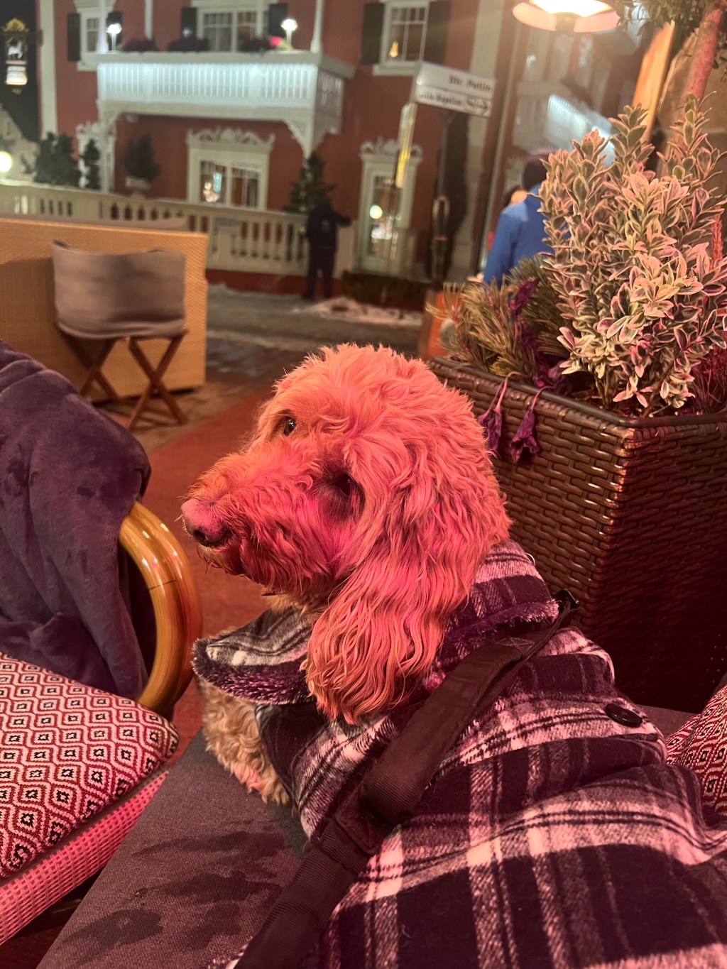 Benvenuto in Italia!