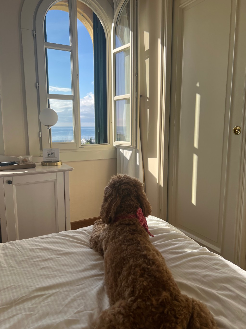 Living Large in the Riviera